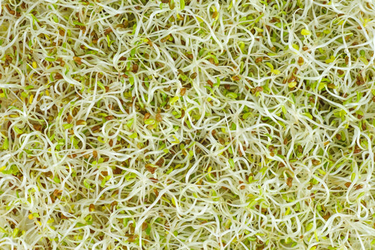 Vitamin K Information