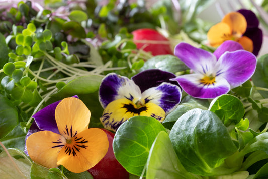 Super Simple Spring Clean Detox