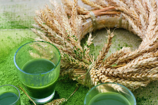 Alkalising the Body for Good Health