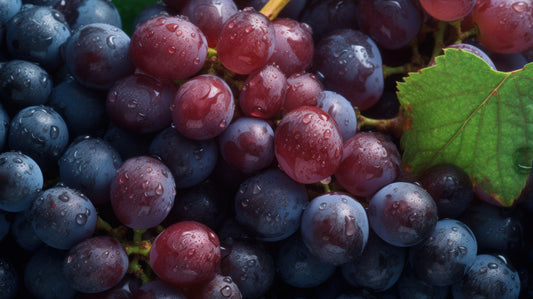 The Anti-aging Effects of Resveratrol