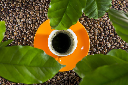 Coffee: Is it Good or Bad for You?