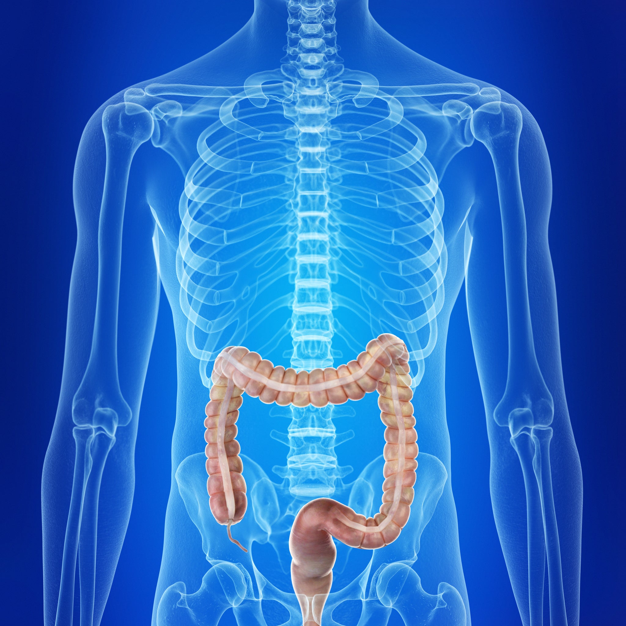 A Healthy Colon is Fundamental to Wellbeing – Power of Nature