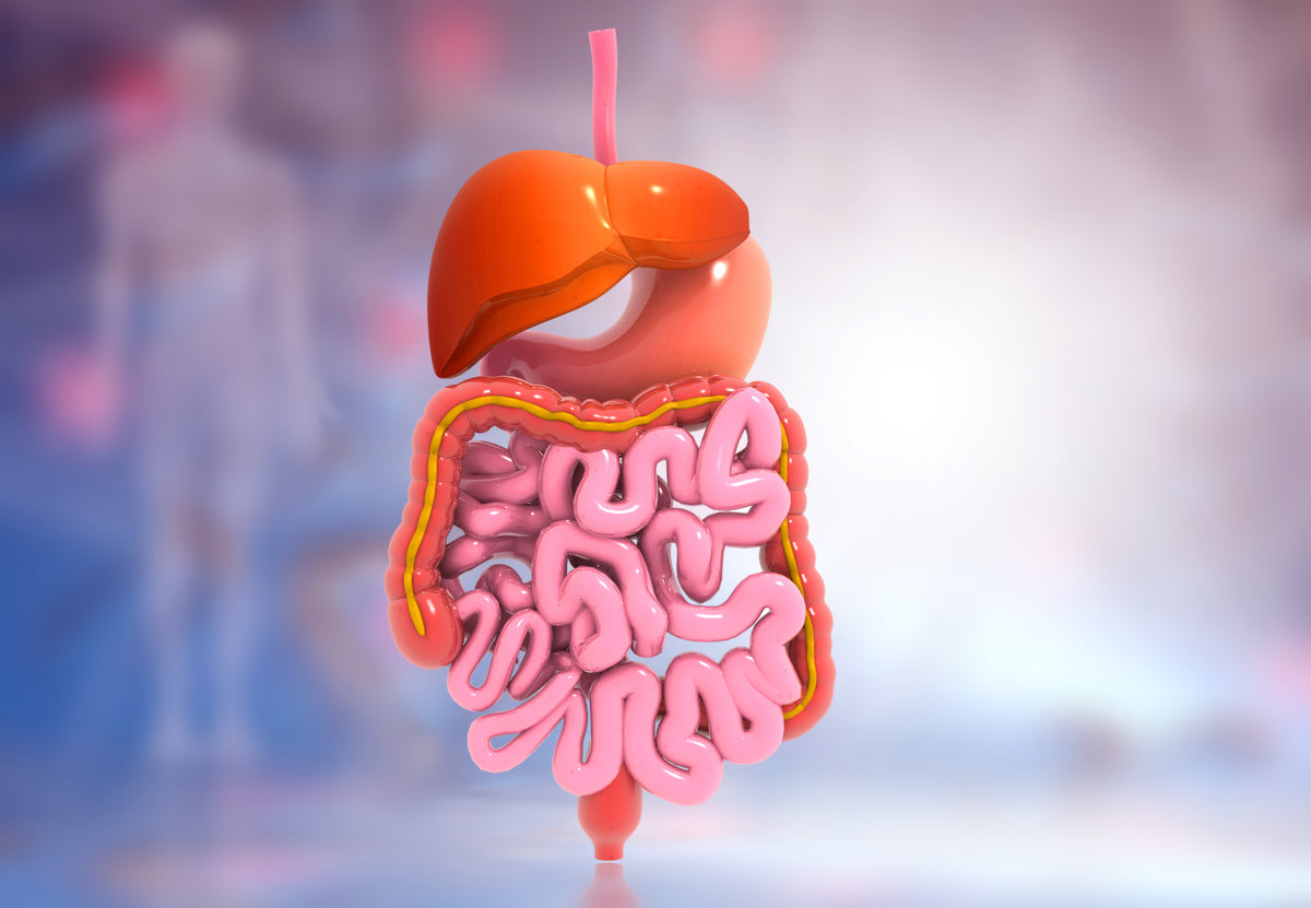 Eight Simple Ways to Improve Your Digestion – Power of Nature