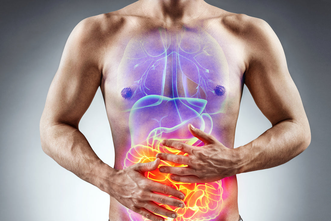 Is Leaky Gut Affecting Your Health?