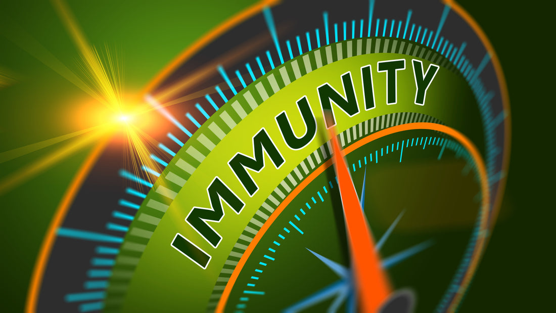 How to Improve Your Immunity