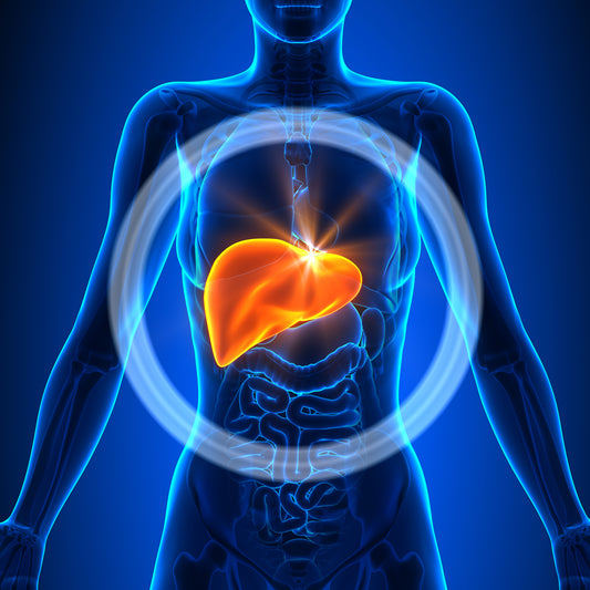 Eleven Signs of Poor Liver Function