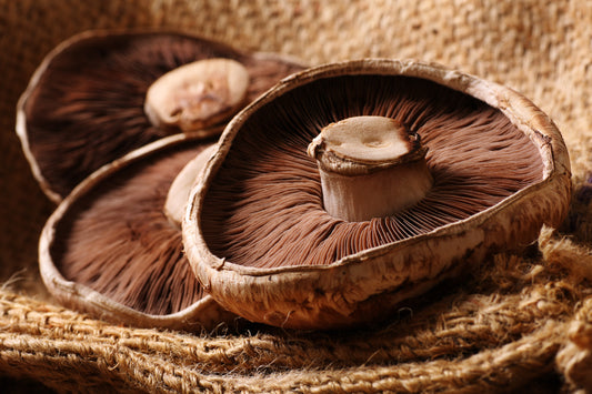 Vegan Plant-food Sources of Vitamin B12