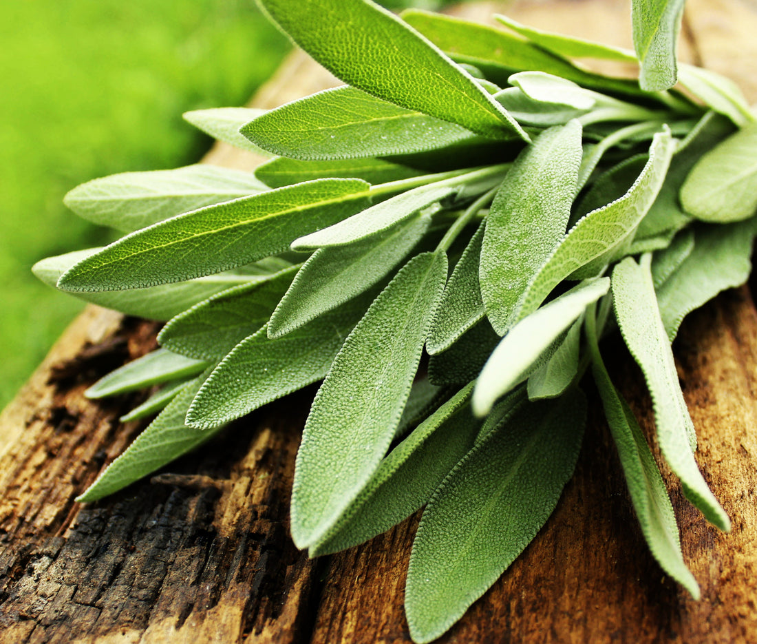 What Is Sage Good For?