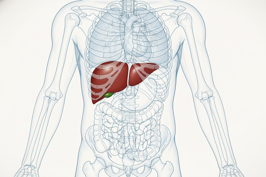Caring for Your Liver Naturally