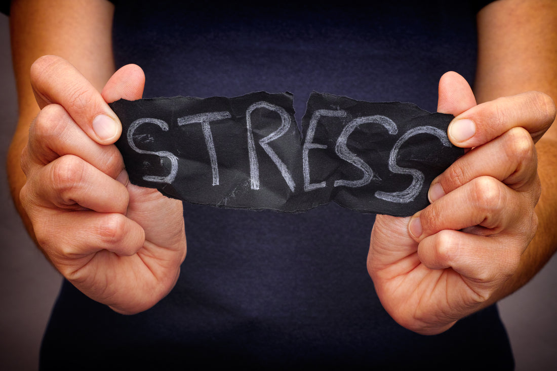 Best Nutrients for Reducing the Effects of Stress