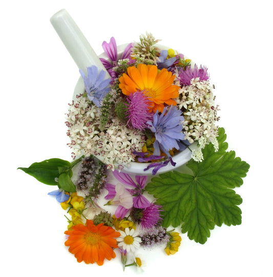 Homeobotanical / First Light Flower Essence Remedy